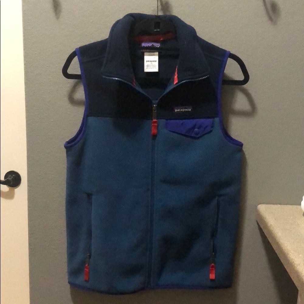 Patagonia men’s classic synchilla vest